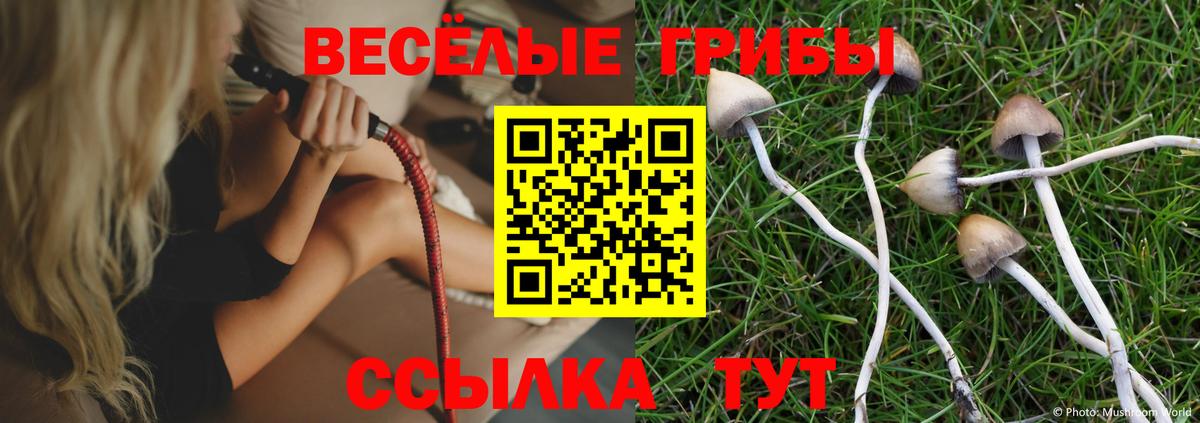 Отрадный  Псилоцибиновые грибы Psilocybine cubensis  Вход с VPN 